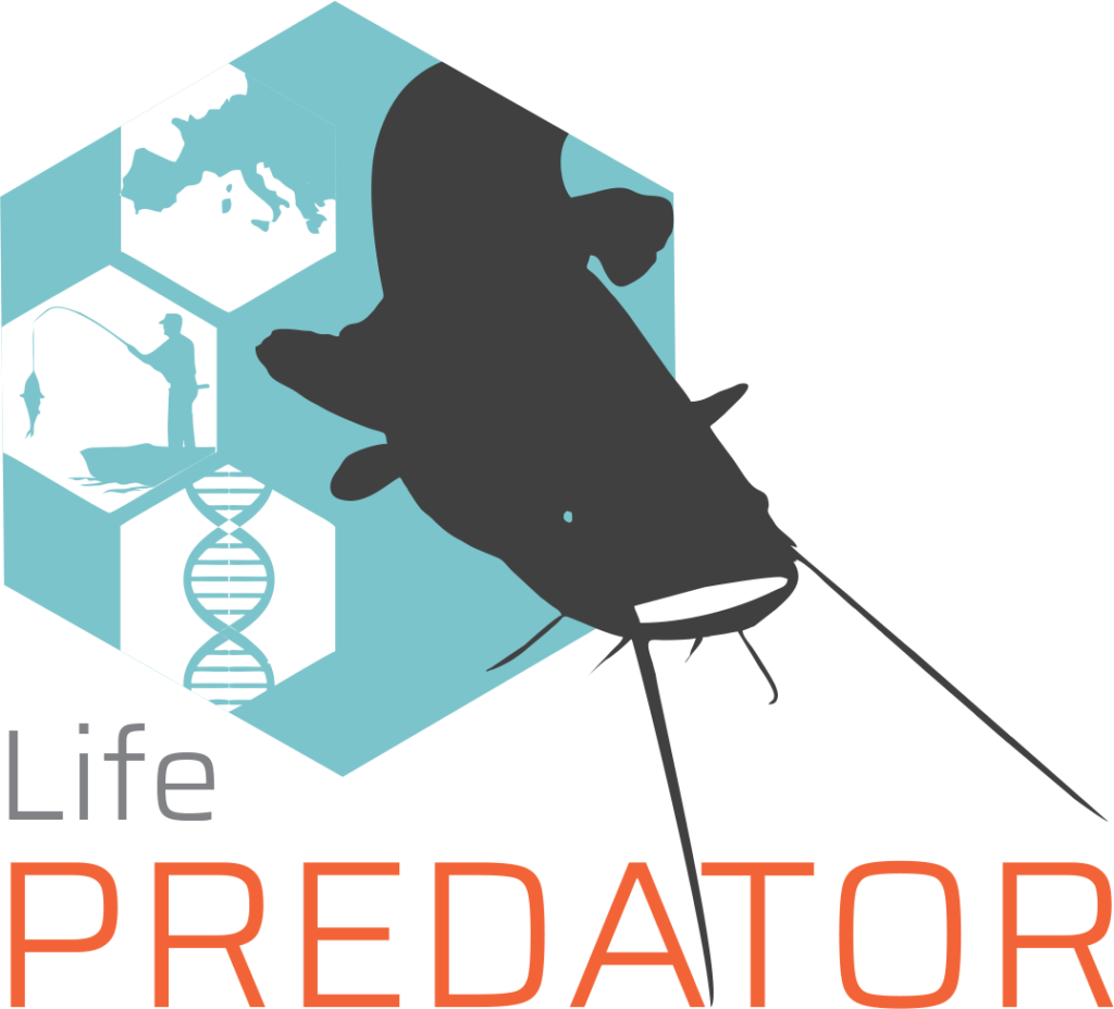 LIFE PREDATOR